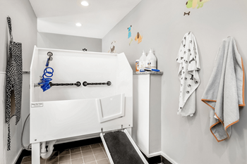 A white bathtub with a blue shower head and faucet.